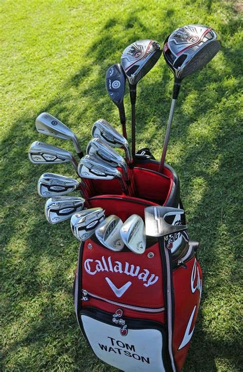 What is the best golf clubs for an average golfer? Beginner Golf Clubs & Starter Golf Equipment: A Buyer's ...