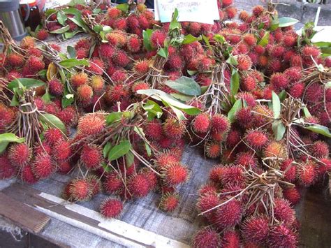 Exotic Southeast Asian Fruits To Sample