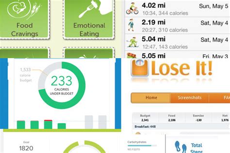The app uses a combination of features to encourage users to stick to their fitness goals. Best Calorie Counter App For Weight Gain | Blog Dandk