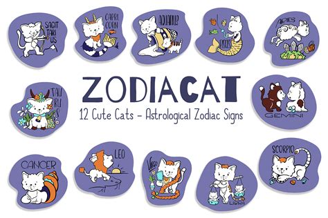 Astrological Zodiac Signs Cute Cat Vector Set By Rabbit And Pencil