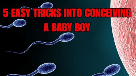5 Easy Tricks Into Conceiving A Baby Boy Youtube