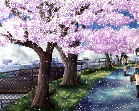 17 best imágenes sobre Árbol cerezo en pinterest kyoto flores flor de cerezo arbol de