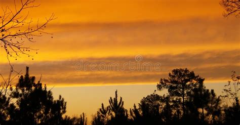 Sunset In Deep East Texas 1 Stock Image Image Of Deep East 70057183
