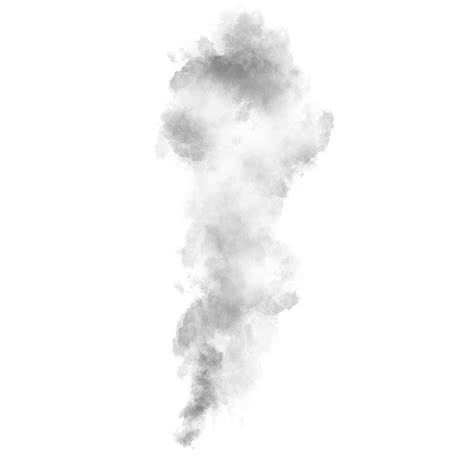 Black Smoke Transparent  Canvas Goose