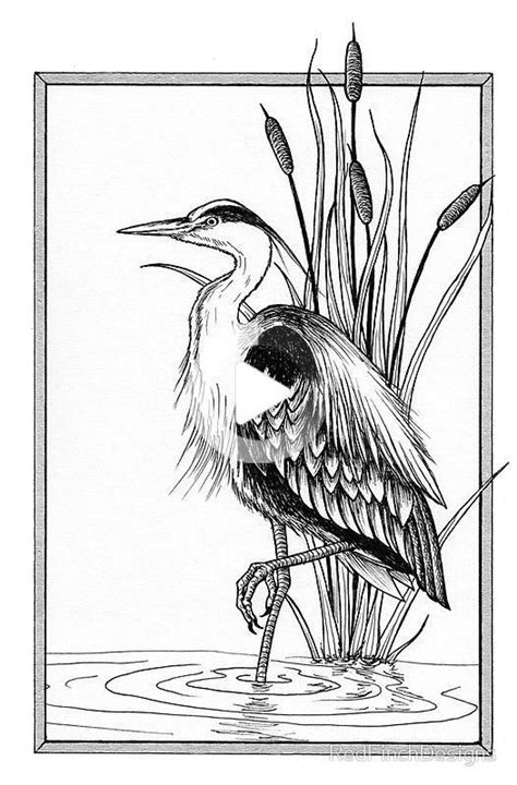 Great Blue Heron And Cattail Ink Illustration Metal Print By