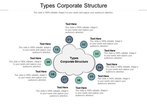 Types Corporate Structure Ppt Powerpoint Presentation Pictures Elements