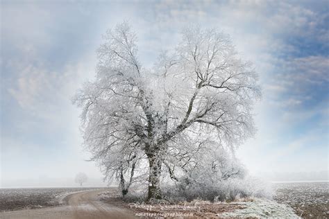 La Photo De Paysages En Hiver Le Tutoriel Complet