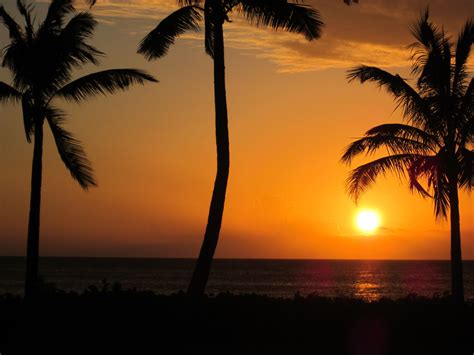 Hawaiian Sunsets Hawaiian Sunset Sunset Sunrise Sunset