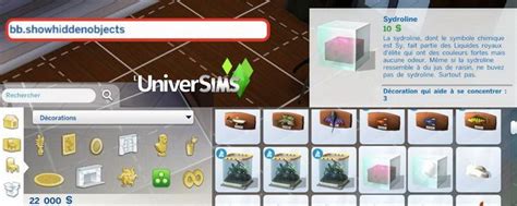 Comment Avoir Les Objets Du Débogage Sims 4 Sos Ordinateurs