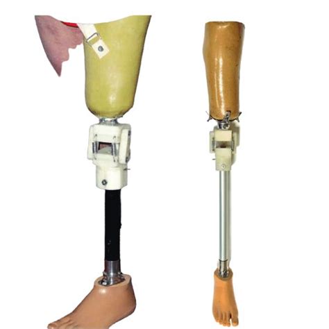 Prosthetic Leg Fit Types Of Knee Prosthesis For Leg Amputations