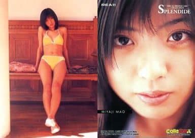 Collection Card Female Visual Photocard Collection Yoko Mitsuya Mao Miyaji Splendide Rea