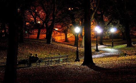 Autumn At Night Wallpaper Nature And Landscape Wallpaper Better