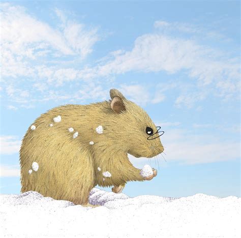 Hamster Playing Outdoors In Snow Stock Images
