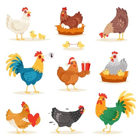 Premium Vector Chicken Cartoon Chick Character Hen And Rooster In