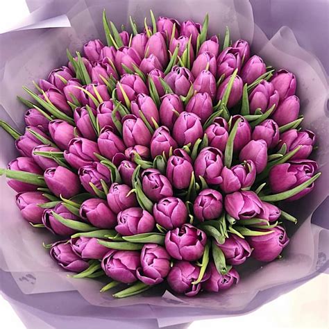Purple Tulips Bouquet Flower Shop
