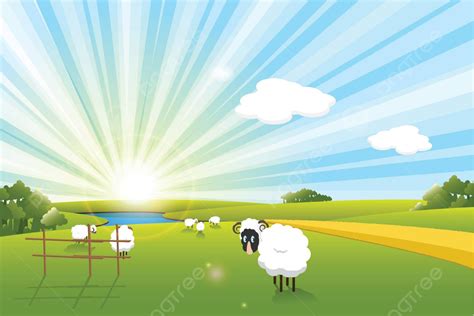 Sheeps Green Meadow Landscape Vector Green Meadow Landscape Png And