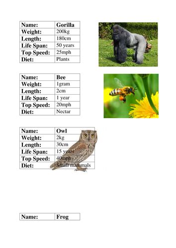 Animal Fact File Cards Teaching Resources