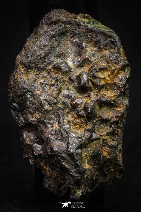 Sericho Pallasite Meteorite Polished Section 24g Fell In Kenya