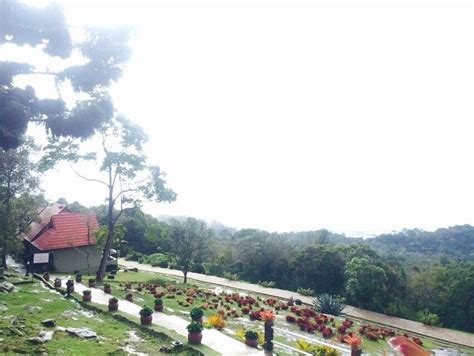 51 gunung jerai stock video clips in 4k and hd for creative projects. View gunung jerai kedah malaysia | Kedah, Dolores park, Views