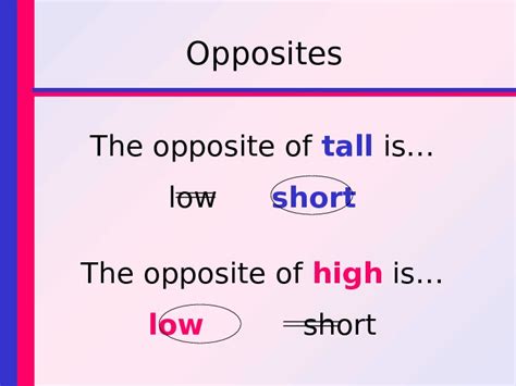 Презентация high tall
