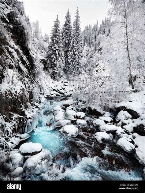 River And Trees In An Forest Mountain And Winter Landscape Hi Res Stock