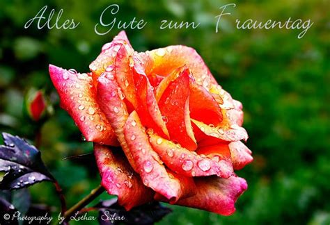 Das steckt hinter der idee, die die deutsche clara zetkin hatte. Grußkarte Frauentag, Grußkarten zum Frauentag Glückwünsche ...