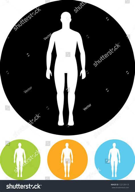 Download Human Body Vector Icon Isolated Stock Vector 122120113 ...