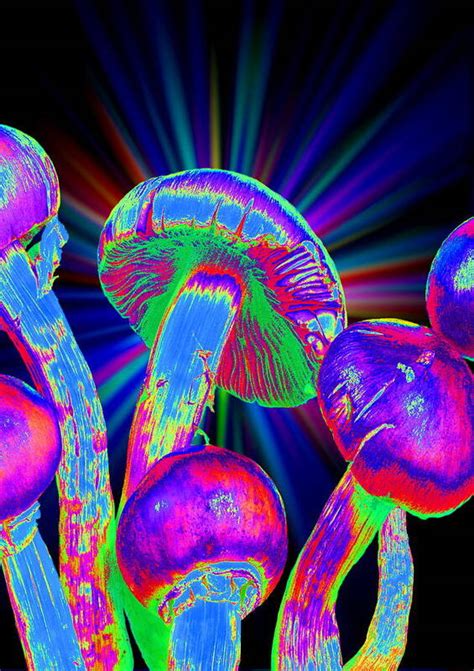 Psilocybin Inspired Art