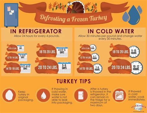 How To Defrost Frozen Turkey Breast Dekookguide