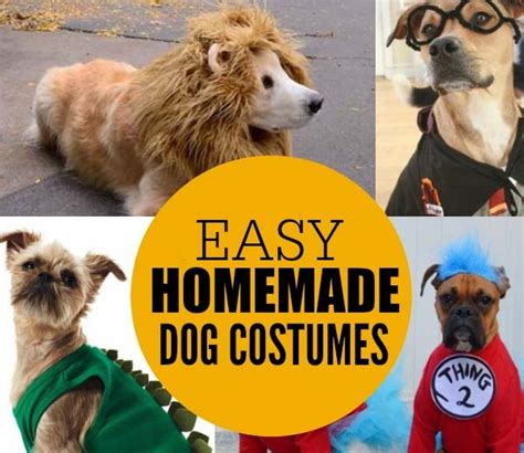 5 Awesome Diy Dog Halloween Costumes Boarding And Beyond
