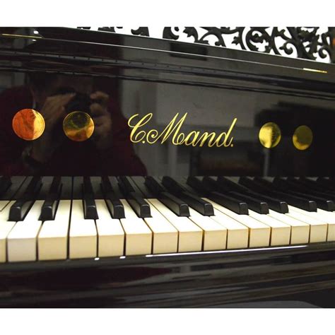Carl Mand Grand Piano At 1stdibs