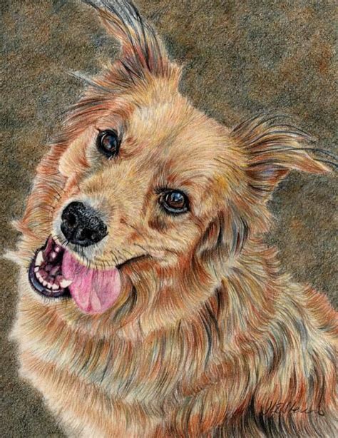 Drawing dog pencil pencil drawing drawing dog pencil dog symbol colorful stationery color element icon background object decoration sketch emblem modern cartoon education animal decorative artistic illustration and painting pen elements paper realistic puppy red icons colored. Good colored pencil dog drawing | Dog drawing, Dog ...