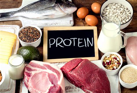 Is A High Protein Diet Harmful To Your Health Transformelle