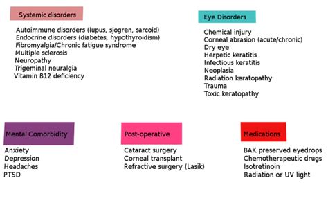 Figure Causes Of Ocular Neuropathic Pain Image Courtesy S Bhimji Md