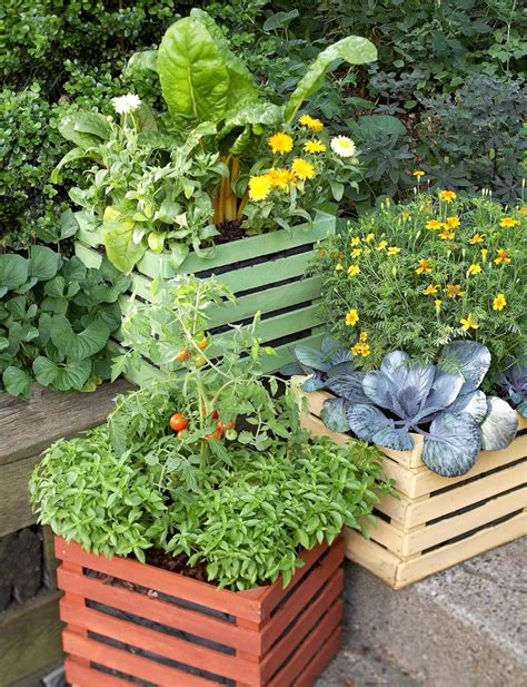 19 Ways To Grow Vegetables In Containers That Will Look As Gorgeous As