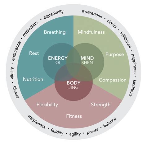 A Holistic Approach To Healthy Lifestyle Richard Agnew