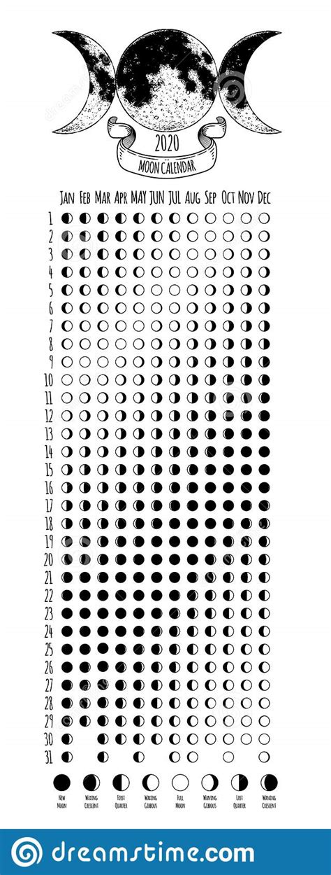 Moon Calendar 2020 Year Lunar Phases Cycles Design Illustrated With