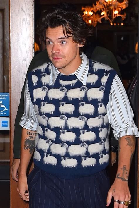 Harry Styles Sweater Vest Is Going To Be A Big Trend In 2020 Sweater Vest Sweater Trends