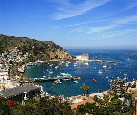 Catalina Island Gets Welcome Rains Yet Impact Of Historic Drought