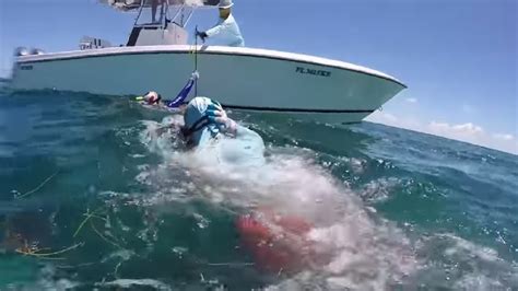 Horror Footage Of Shark Attack Captured Sunshine Coast Daily