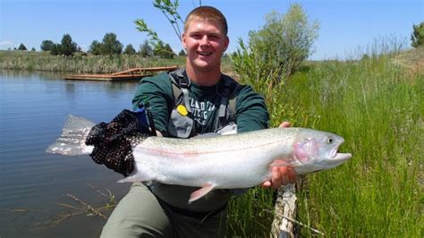 Trophy Trout In Central Oregon The Definitive Guide The Consummate