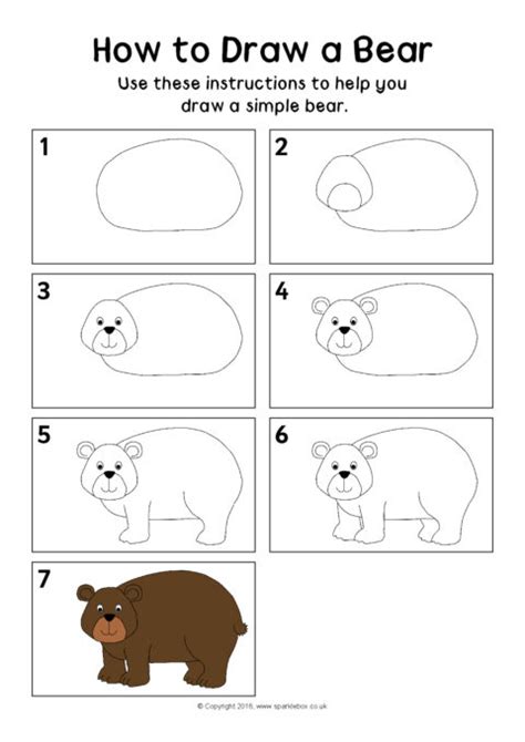 How To Draw A Brown Bear Step By Step