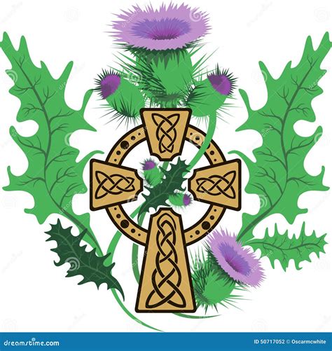 Stylized Celtic Cross Framed Thistle Flowers Stock Photo Image 50717052