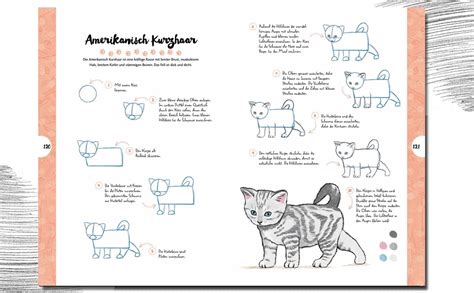 Die Kunst Des Zeichnens 10 Steps Katzen In 10 Einfachen Schritten 50