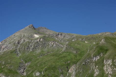 Alpine Sites Biodiversity Monitoring South Tyrol