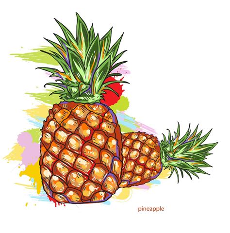 colorful vector art vector pineapple colorful splashes designious