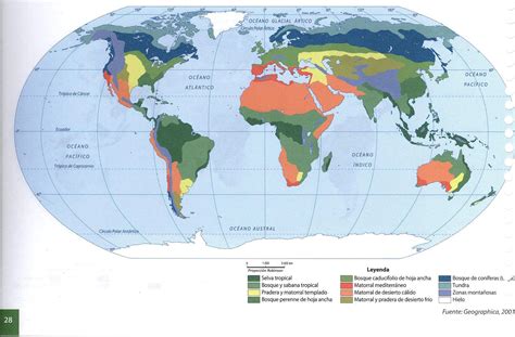 Mapa De Colores De Los Principales Biomas Del Mundo Ilustracion Del Images