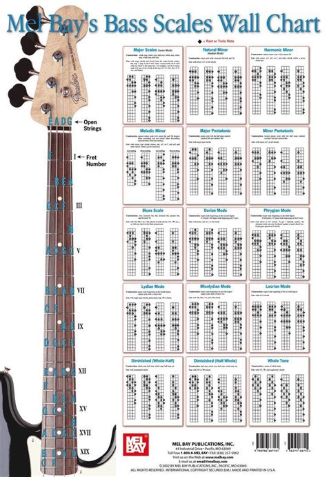 Bass Scales Wall Chart File Aula De Contrabaixo Escalas Musicais Baixo Musical
