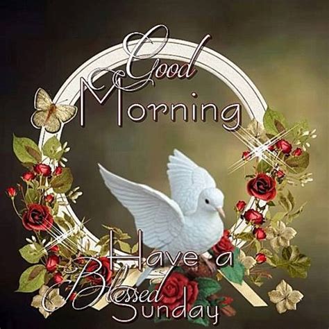 Good Morning Have A Blessed Sunday Pictures Photos And Images For