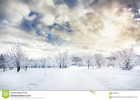 Beautiful Winter Park Stock Photo Image 62832171